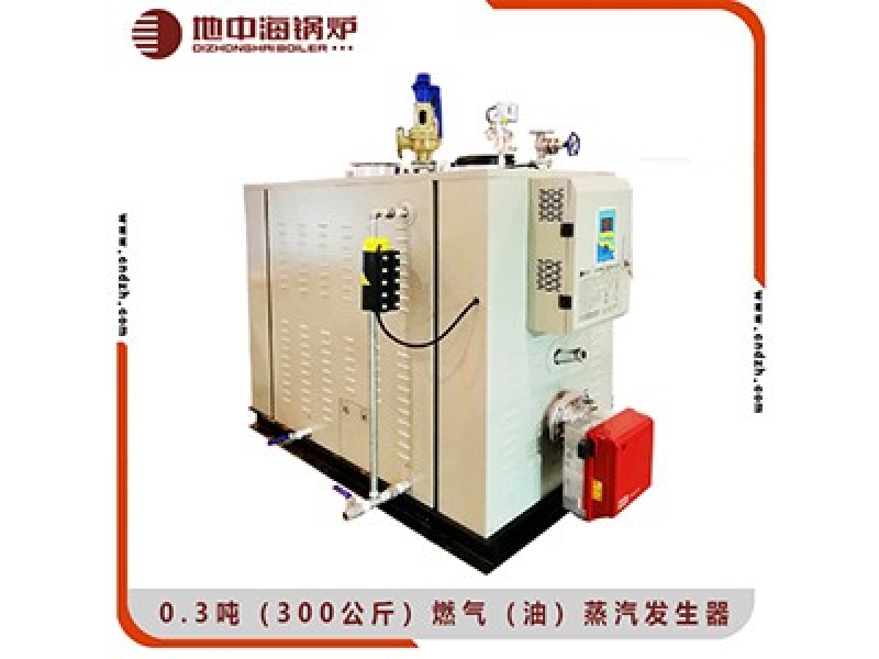0.3吨（300公斤）燃气蒸汽发生器