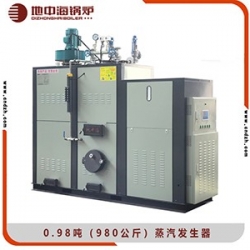 0.98生物质蒸汽发生器