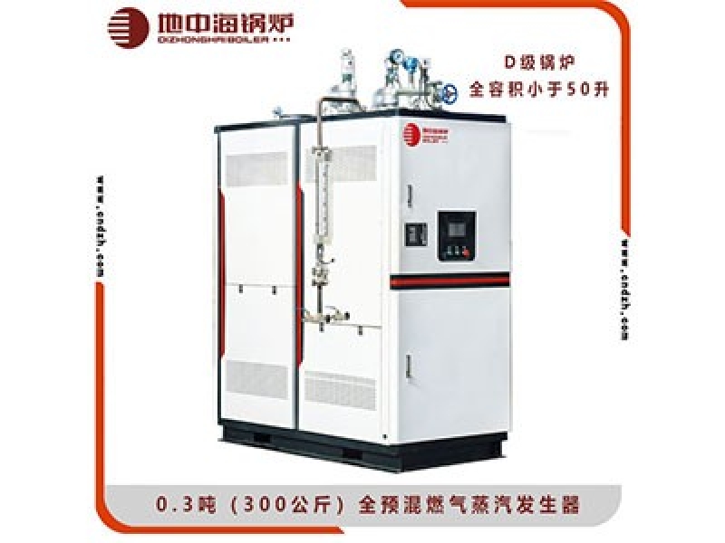0.3吨D级超低氮全预混燃气蒸汽发生器